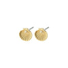 Boucles d’oreilles OPAL en coquillage recyclé plaquées or