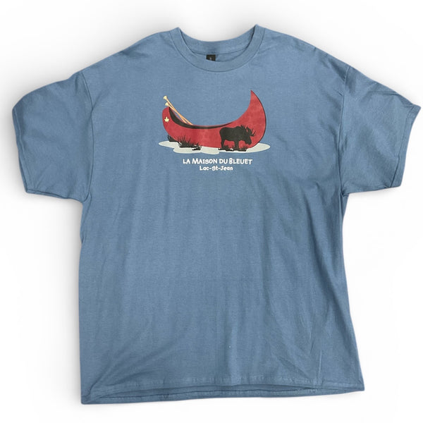 Tee-shirt bleu avec dessin devant