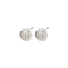 Boucles d’oreilles OPAL en coquillage recyclé plaquées argent