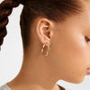 LARKIN gold-plated earrings