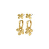 Boucles d’oreilles Ajani Plaqué or