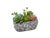 Plante artificielle dans pot